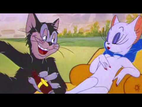 GATTINA BIANCA (prod. elteomaravilla)