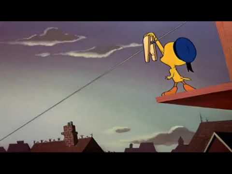 PiuPiu & Frajola ( piu piu)( eu acho que vi um gatinho)