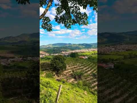 Ibitiúra de Minas Gerais