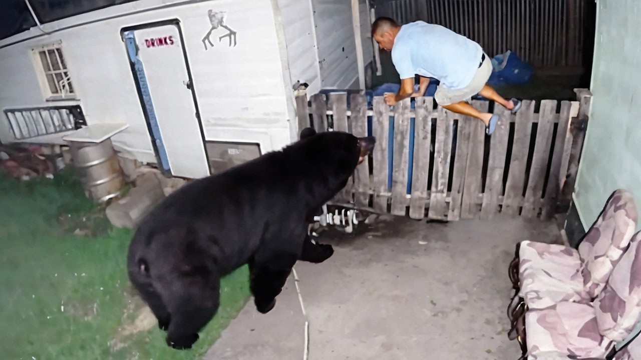 Delivery Drivers vs Animals | When Things Go Wrong