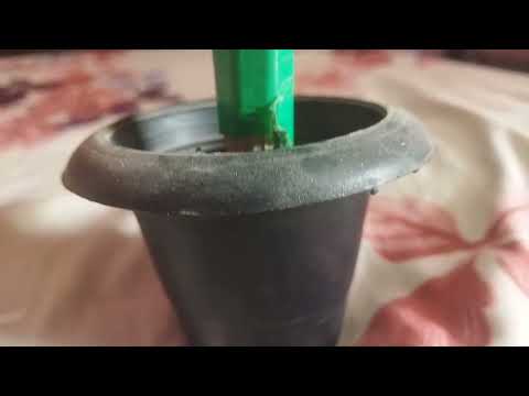 Saiyaara Title Song – Ahaan, Aneet | Tanishk Bagchi, Faheem Abdul #music