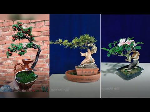 Top Amazing Bonsai Trees in the World - Bonsai Tip 2023