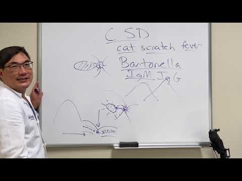 Bartonella neuroretinitis (cat scratch disease)