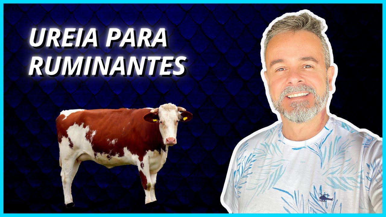 Ureia para Ruminantes