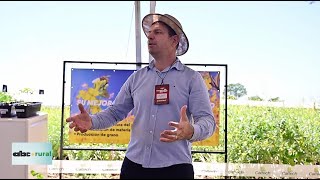 Porqué sembrar Carinata en invierno, y sus beneficios agronómicos y económicos