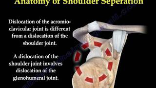 SHOULDER SEPARATION /AC JOINT - Everything You Need To Know - Dr. Nabil Ebraheim