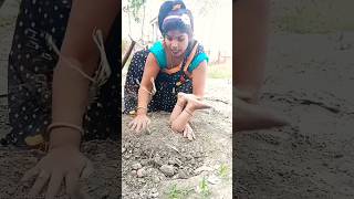 Download lagu Dushman ban Gaya hai Sara jamana#viralvideo #shorts #trending #ytshorts mp3