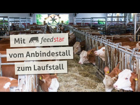 , title : 'Kostengünstig vom Anbindestall zum Laufstall - Umstellung von Milchvieh zu Jungviehaufzucht'