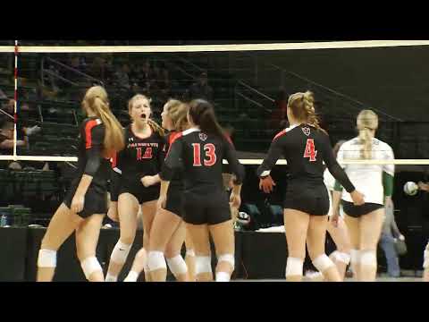 High School Volleyball: Coldwater vs. Mentor Lake Catholic (Div. III championship)