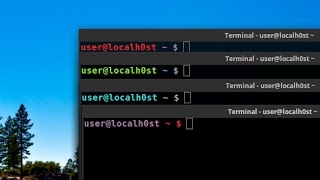 Change Terminal Prompt Color! (Linux Mint &amp; Ubuntu) EASY!
