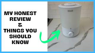 LEVOIT 3L Humidifier For Bedrooms – 4 Years Later (Still Worth It?)