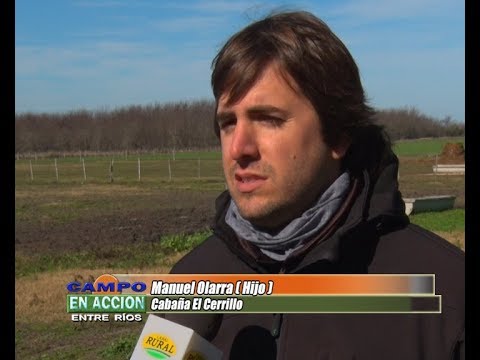 Angus Tercera Prueba Pastoril del Litoral - Manuel Olarra