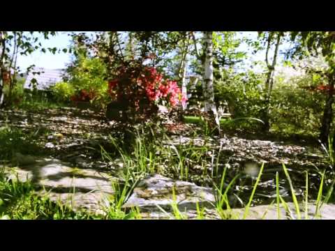 Hotel CARPATIA Bieszczadzki Gościniec