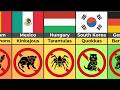 Illegal Exotic Pets By Country