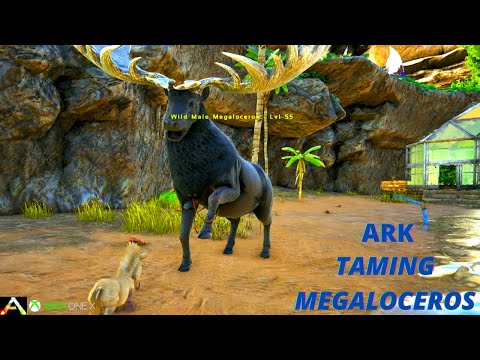 Ark: Survival Evolved - How to Tame Megaloceros - The Island