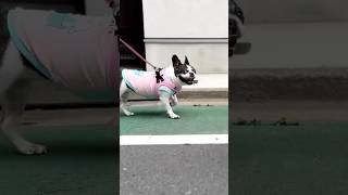 注射だと知らずにルンルンなフレブルがかわいすぎたw