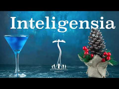 Bo Cocktail di Djabièrè 3 di Desèmber 2021#mensahe #motivashon #Bíbliko