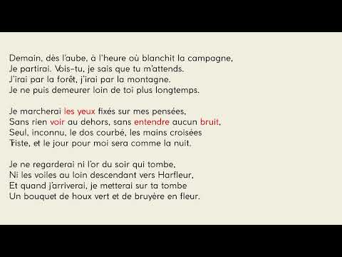 Révisions personnelles: Demain, dès l'aube lecture linéaire