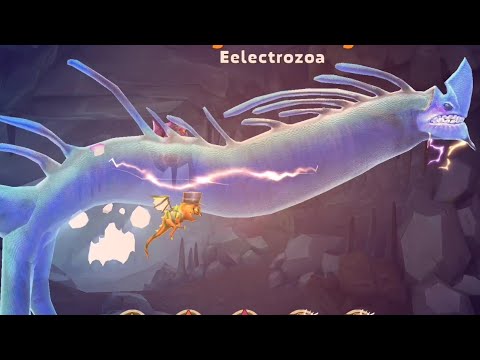 ELECTROZOA NEW LIVE TOURNAMENT! - Hungry Dragon