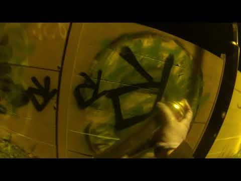 To dopiero początek. MP GANG