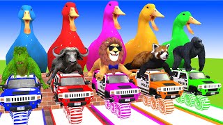5 Giant Duck, Monkey, Lion, piglet, chicken, cat, Tiger, Sheep, Transfiguration funny animal 2023