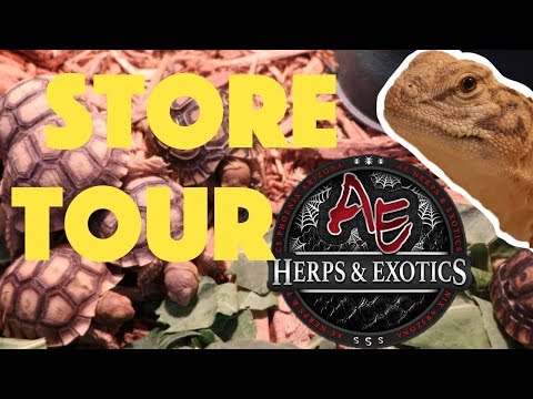 Ae Herps And Exotics
