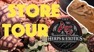 Reptile Store TOUR: AE Herps and exotics!