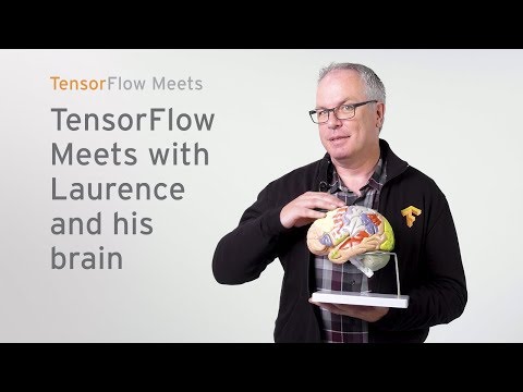 ローレンスと彼の脳とのTensorFlow Meets（テンソルフロー・ミーツ (TensorFlow Meets with Laurence and his brain (TensorFlow Meets))