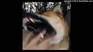 Wolvves - Billie Holiday