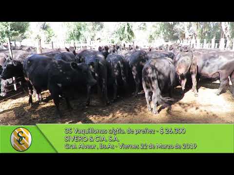 22-03-19 - Venta de Vientres - Sivero & Cía  S.A. - Gral  Alvear