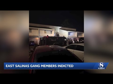 9 more alleged gang members indicted in Salinas Acosta Plaza RICO case, DOJ says