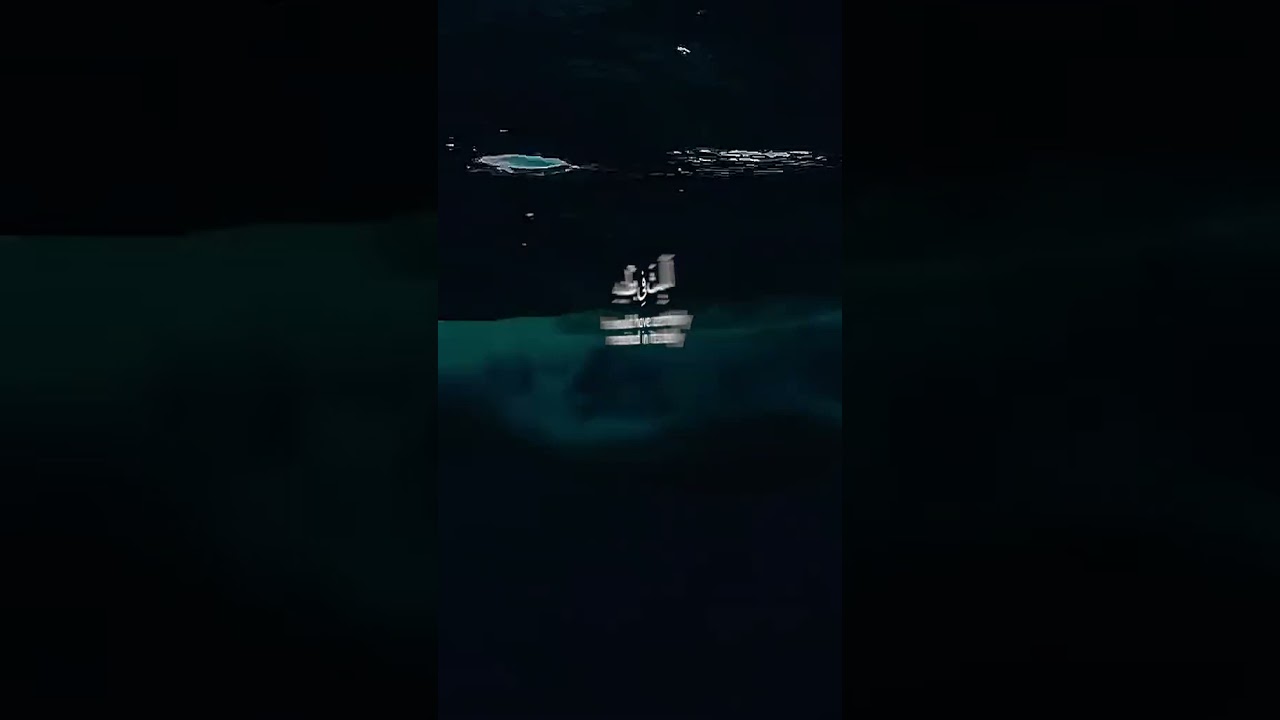 "سر النجاة من بطن الحوت.. فضل التسبيح في تلاوة تقشعر لها الأبدان! ✨🐋"