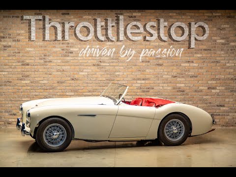 1954 Austin-Healey 100-4 (CC-1562509) for sale in Elkhart Lake, Wisconsin