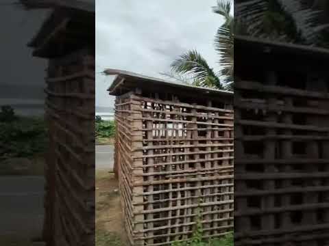 Galle to Colombo | coastal train Indian Ocean | 10 June 2025