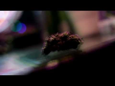 All I SMOKE IS LOUD - Soul City Ft. CC Marley (Prod by. One Hunnid) Shot By Ced Lynch (Viral Video)
