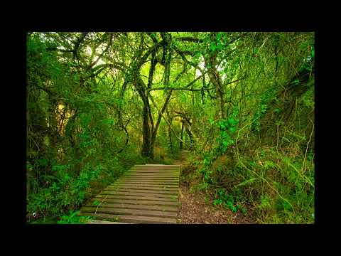 Hoy conocemos Gruta de la Llorona en La Paloma Departamento de Durazno