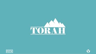 Torrah Week One | Genesis: From Eden to Egypt