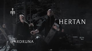 Kadr z teledysku Hertan tekst piosenki Wardruna
