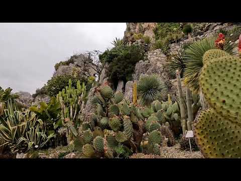 The Exotic Garden of Eze - Le Jardin Exotique d'Eze [4K]