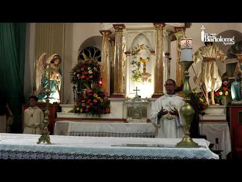 SANTA MISA | Miércoles de la V Semana de Pascua: Yo soy la verdadera vid