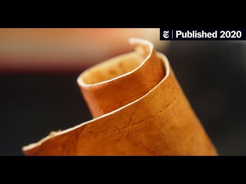 Science news with Dan Riskin