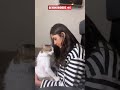 Mrunal Thakur പൂച്ചയ്ക്ക് Kiss കൊടുത്തപ്പോൾ സംഭ�