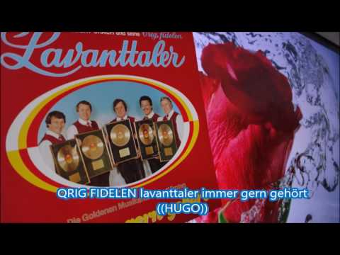 QRIG FIDELEN lavanttaler immer gern gehört
