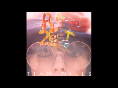Tiam Wills - Disquette