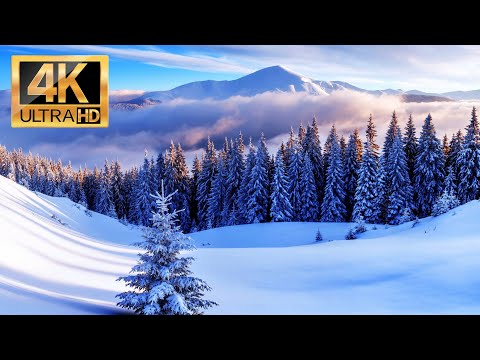 Winter 4k video in the Alps 4K | Snowy Winter Scenes 4K Nature Video