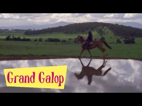 Grand Galop 102 - Sauvetage | HD | Épisode Complet