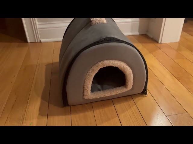 Vídeo relacionado con Genérico Christmas Pet Cave - Cat Bed | Tree Chat House, Portable PUPY House, Pet Store Cat Nest for Small Animals