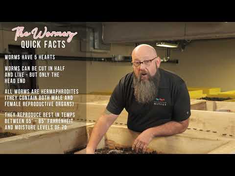 The Wormery Project Tour #WorldSoilDay