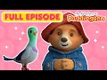Paddington Finds a Pigeon 🐻 FULL EPISODE | Nick Jr.