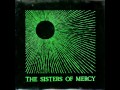 The Sisters of Mercy 'Heartland' 1983 